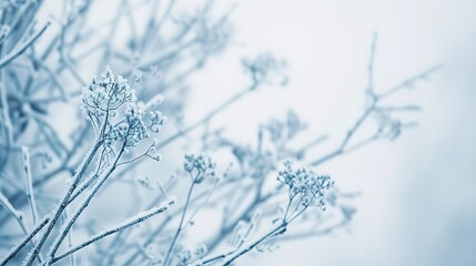 Elegant & Modern White Background Cool Tone Style Certificate Templates: Minimalist Sophistication for Professional Recognition