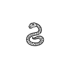 Fototapeta premium symbol of snake