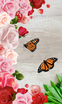 colourfull Rose with Butterfly in wooden Background