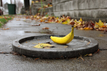 Banana on concrete surface.