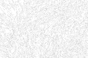 Fototapeta na wymiar abstract art vector, Broken tiles mosaic pattern. texture interior background line art. set of graphics elements drawing for architecture and landscape design. cad pattern