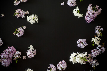 Lilac flower frame on black background with empty space for text