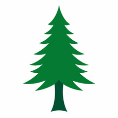 Cedar Tree outline icon on white background