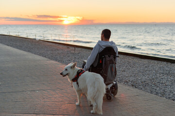 Man with disability sits in a wheelchair beside a white dog at the beach. They watch the sun setting over the horizon, creating a peaceful atmosphere during the evening.