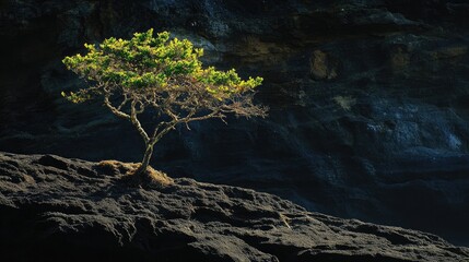 A serene coastal landscape featuring rugged rock formations emerging from the ocean, surrounded by gentle waves.
