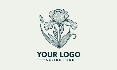 Elegant Line Art Illustration of an Iris Flower with Graceful Petals and Detailed Stem. Floral Design Concept