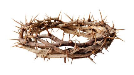 Crown of Thorns: Symbolizing strength and sacrifice, this image presents a realistic crown of thorns. Crafted with intricate detail, it evokes themes of suffering, spirituality, and resilience.