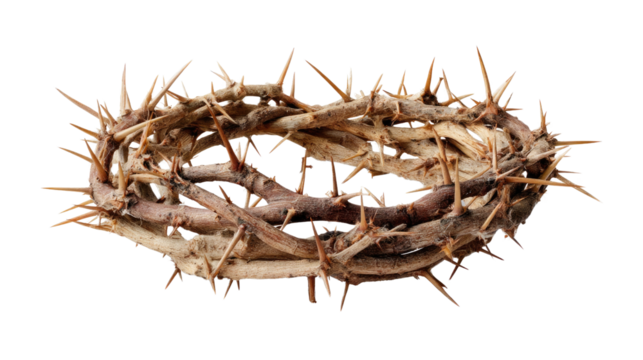 Crown of Thorns: Symbolizing strength and sacrifice, this image presents a realistic crown of thorns. Crafted with intricate detail, it evokes themes of suffering, spirituality, and resilience.