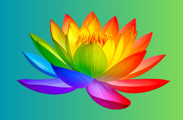 Three pink lotus flowers isolated on a transparent background, - Rainbow lotus flower isolated on a transparent background,