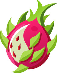vector illustration of a dragon fruit