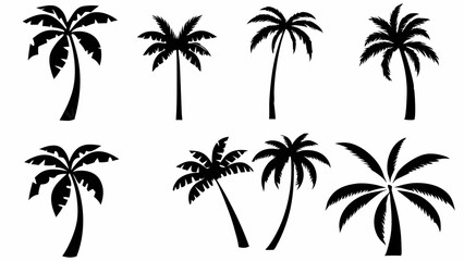 Fototapeta premium palm tree silhouettes