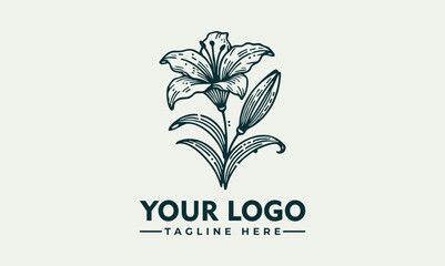 Elegant Line Art Illustration of a Lily Flower with Graceful Petals and Detailed Stem. Floral Design Concept