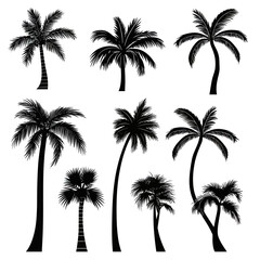 Set of diverse black palm tree silhouettes with detailed fronds isolated on white background in flat minimalist vector style for tropical design elements and summer themes