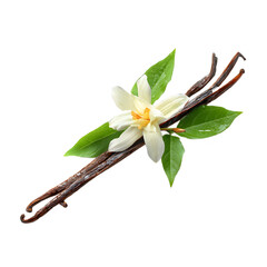 Aromatic Vanilla Beans with Blossoms, Perfect for Food Photography