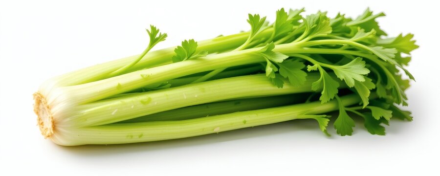 a fresh celery, white background, green stalks, crisp texture, 4k resolution
