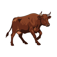 cow vector illustration on white background