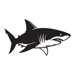 vector illustration of a shark on a white background