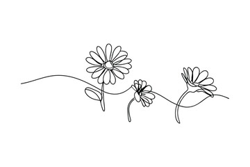 Simple elegant continuous line drawing of daisy flowers blooming on white background