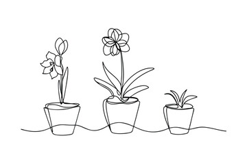 Minimalist line art illustration of three potted plants on a white background
