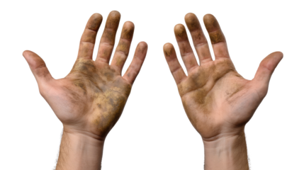 The Dirty Hands: showing close up of dirty hands of a person after working in the garden.