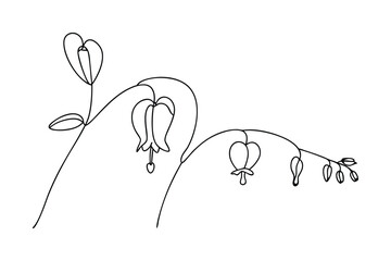 Delicate black and white line art illustration of bleeding heart flowers blooming