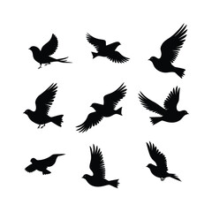Fototapeta premium Dove Bird Set Silhouette Clipart on White Background
