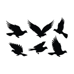 Obraz premium Dove Bird Set Silhouette Clipart on White Background