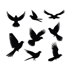 Dove Bird Set Silhouette Clipart on White Background