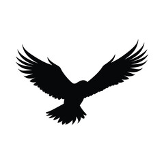 Fototapeta premium Hawk Bird Silhouette Clipart on White Background