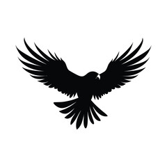 Obraz premium Hawk Bird Silhouette Clipart on White Background