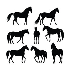 Horse Set Black Silhouette Clipart on White Background