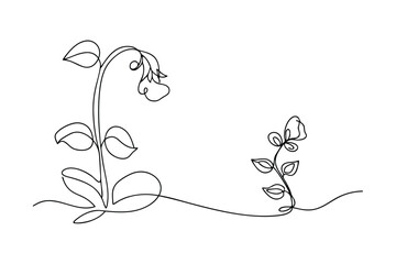 Simple line art depicting a blooming flower and bud against a blank white background