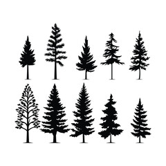 Obraz premium Pine Set Silhouette Clipart on White Background
