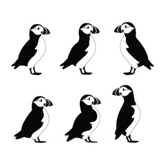 Naklejka premium Puffin Bird Set Silhouette Clipart on White Background