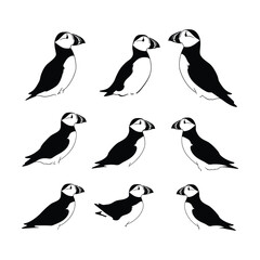 Obraz premium Puffin Bird Set Silhouette Clipart on White Background