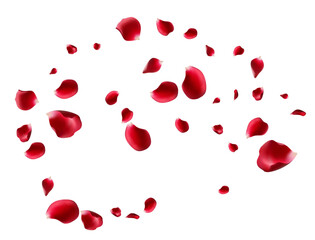 Red Pink Petal Blur Vector Transparent Background. Falling Cherry Pattern. Beautiful Lotus Fall Template