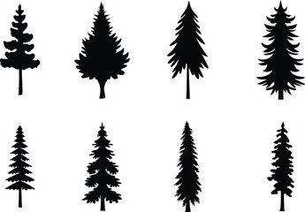 Fototapeta premium Pine tree vector collection, pine silhouette, black color vector.