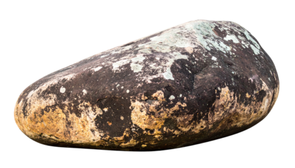 A smooth, oval-shaped stone with mottled brown, yellow, and white surface patterns.