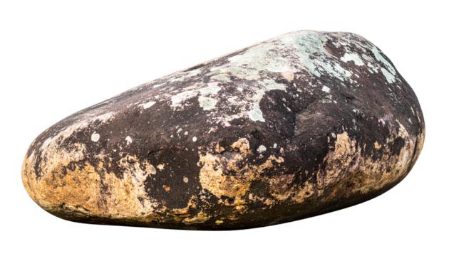 A smooth, oval-shaped stone with mottled brown, yellow, and white surface patterns.