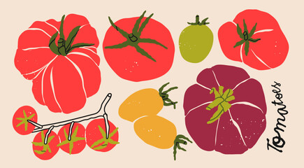 Various fresh, juicy tomatoes set. Whole red, green, black tomatoes, cherry tomatoes on a branch. Hand drawn modern Vector illustration. Isolated design elements. Healthy, natural food concept