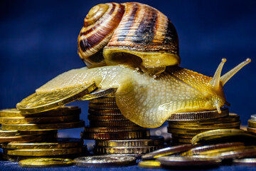 A large snail with a striped shell on its back and antennae on its head crawls on a variety of...