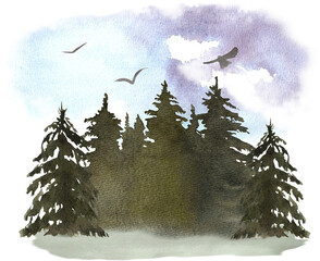 Tall Fir Trees Under Cloudy Blue Sky with Birds