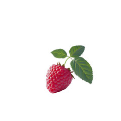 Vibrant raspberry with leaves, isolated on white, showcasing nature's bounty