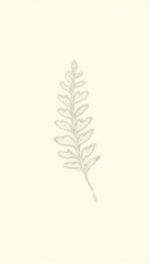 Fern frond line art on cream