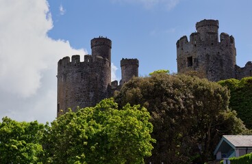 A photo of a castle partially obscured by trees. Conwy Castle - Conwy - Wales - Great Britain
