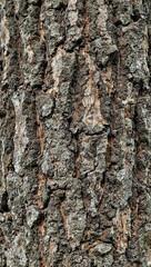 Detailed bark texture