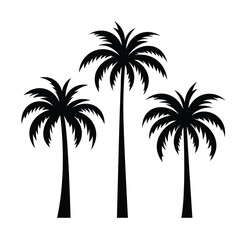Palm trees silhouette set. Vector illustration isolated on white background