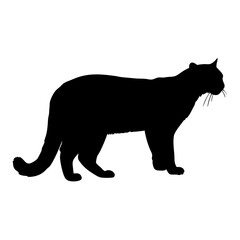 Black panther silhouette vector illustration of wild cat mammal predator animal graphic design image