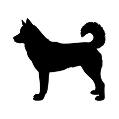 Download this perfect silhouette of a siberian husky dog breed for your design projects today © IsratJahan