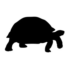 Download this realistic tortoise silhouette vector image for free tortoise animal graphics art